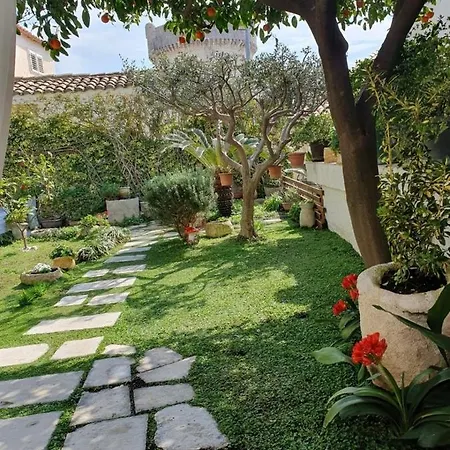 Garden - With A View *