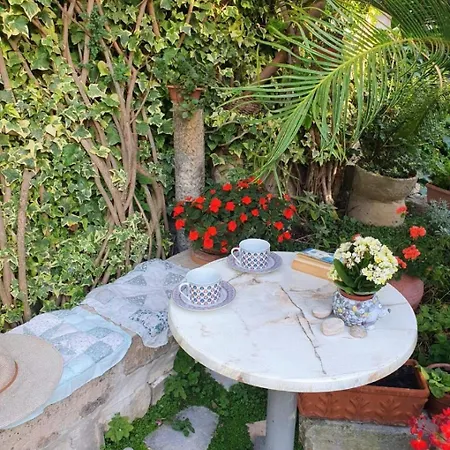 Garden 2*