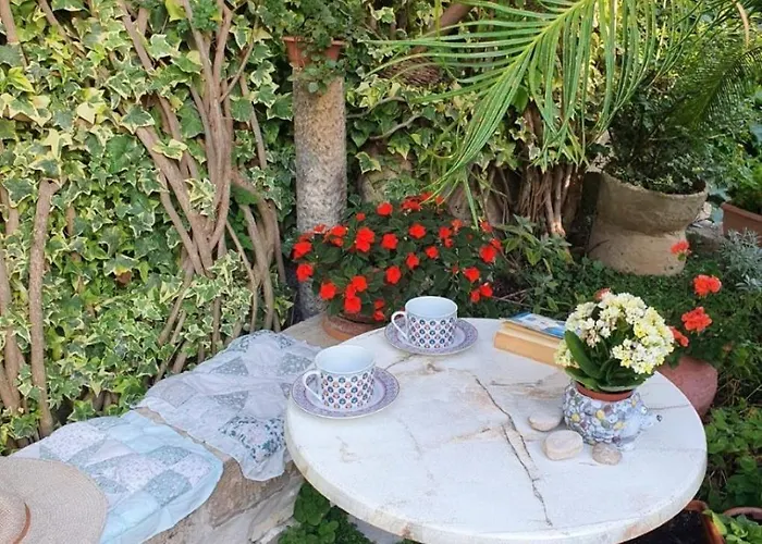 Garden 2*