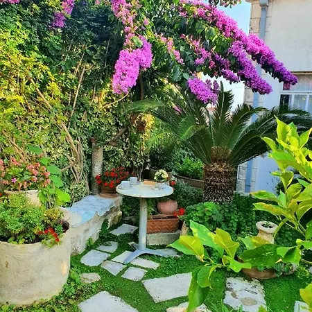 Garden - With A View